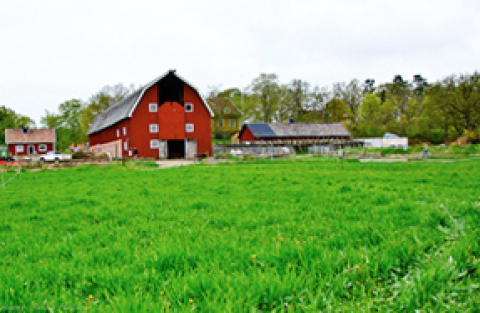 Stegsholms Gård